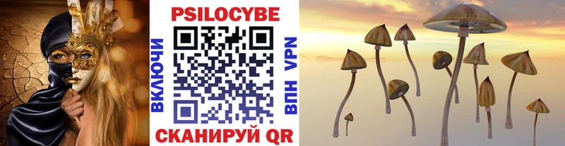 Купить закладки  Туймазы  Галлюциногенные грибы Psilocybine cubensis 